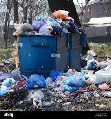 Best Dumpster Rental Services  in Buffalo Grove, IL